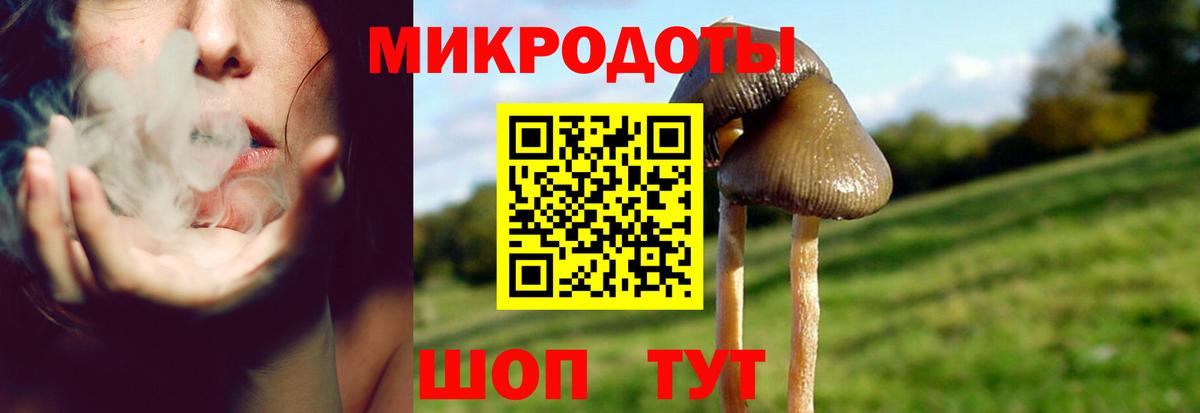 Псилоцибиновые грибы Psilocybe Мелеуз